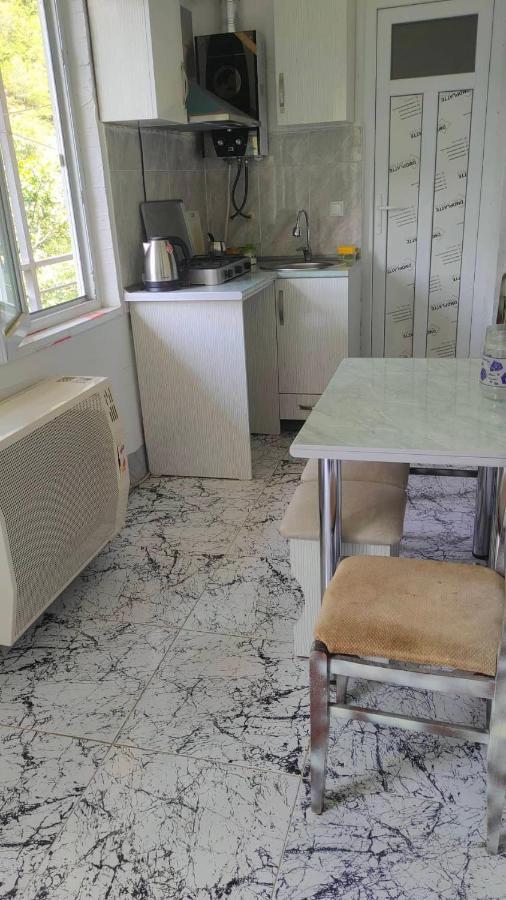 Guest House Gogias Cixe 보르조미 외부 사진