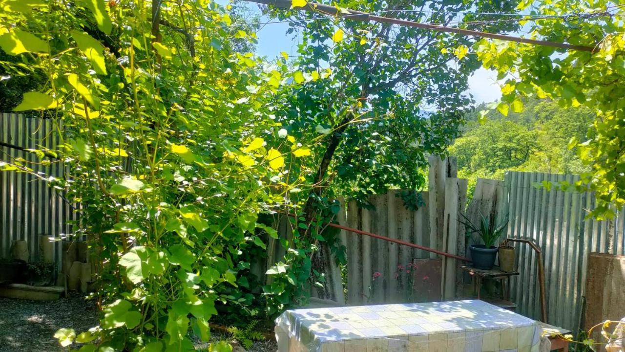 Guest House Gogias Cixe 보르조미 외부 사진