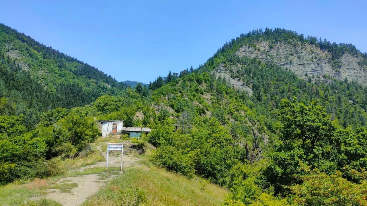 Guest House Gogias Cixe 보르조미 외부 사진