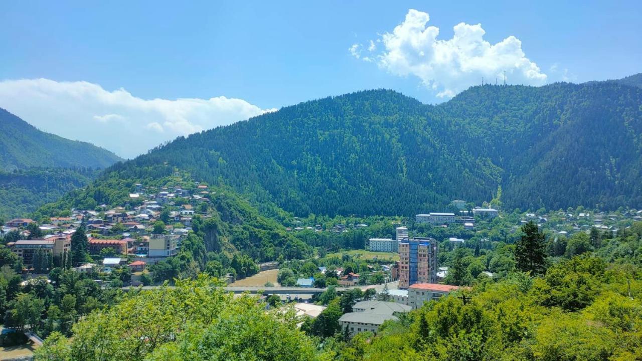 Guest House Gogias Cixe 보르조미 외부 사진