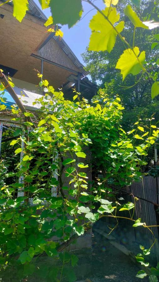 Guest House Gogias Cixe 보르조미 외부 사진