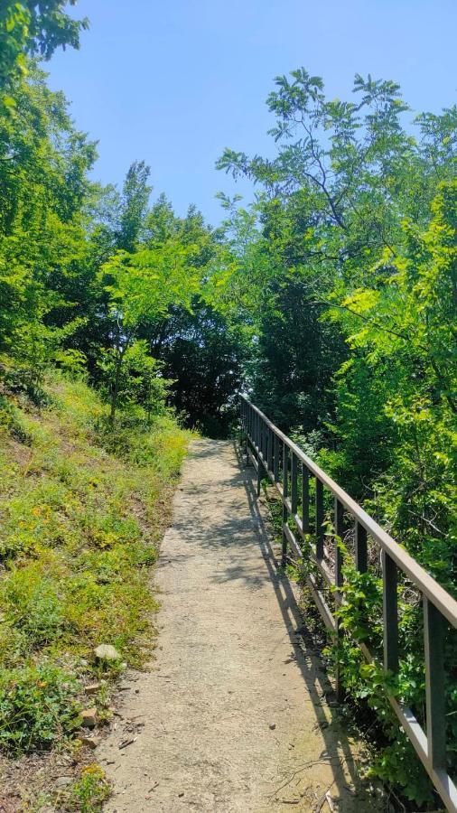 Guest House Gogias Cixe 보르조미 외부 사진