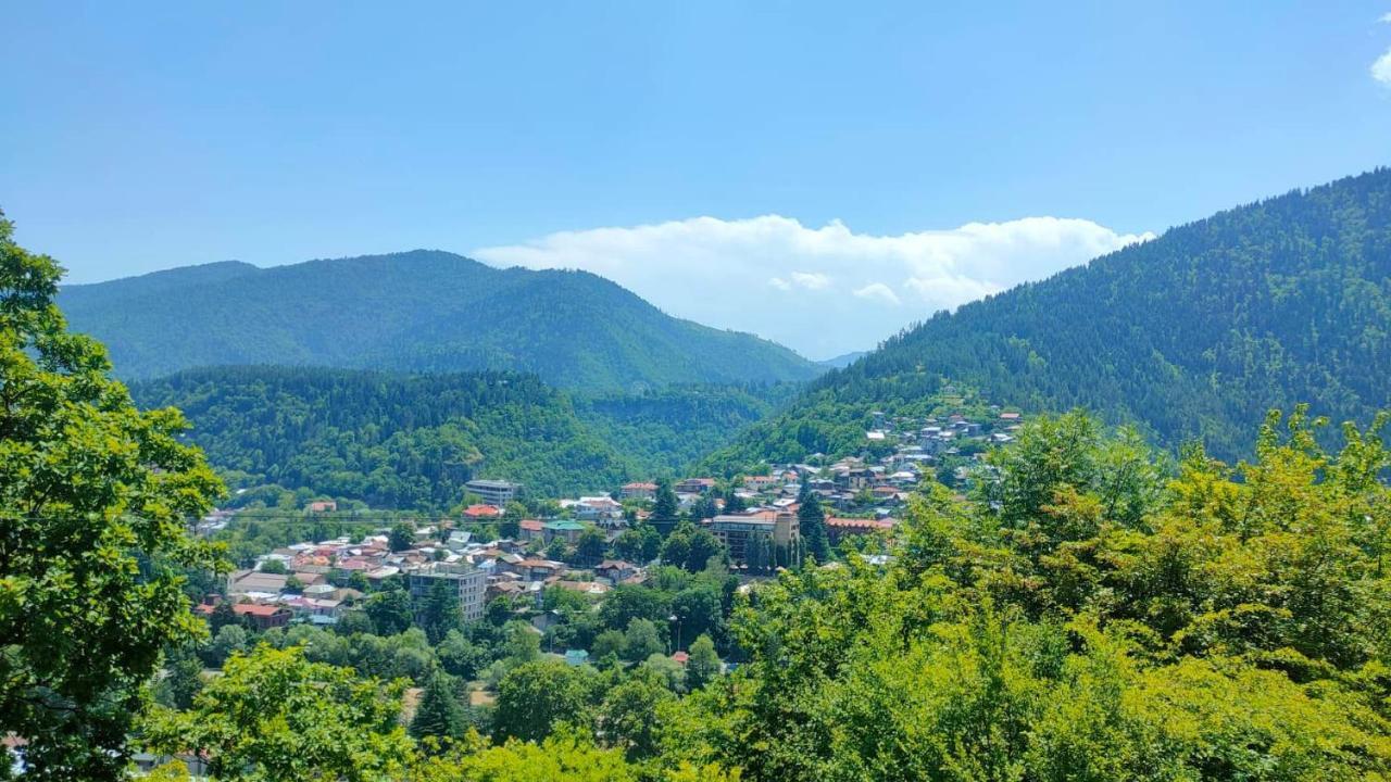 Guest House Gogias Cixe 보르조미 외부 사진