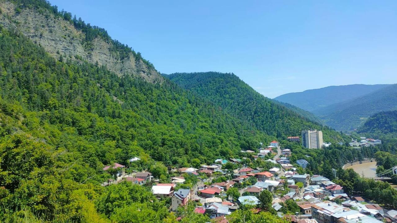 Guest House Gogias Cixe 보르조미 외부 사진